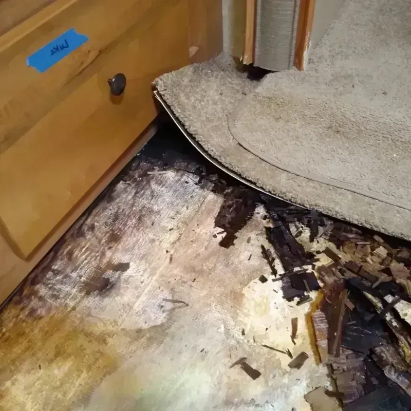 Best Wood Floor Water Damage Service in Little Falls, MN